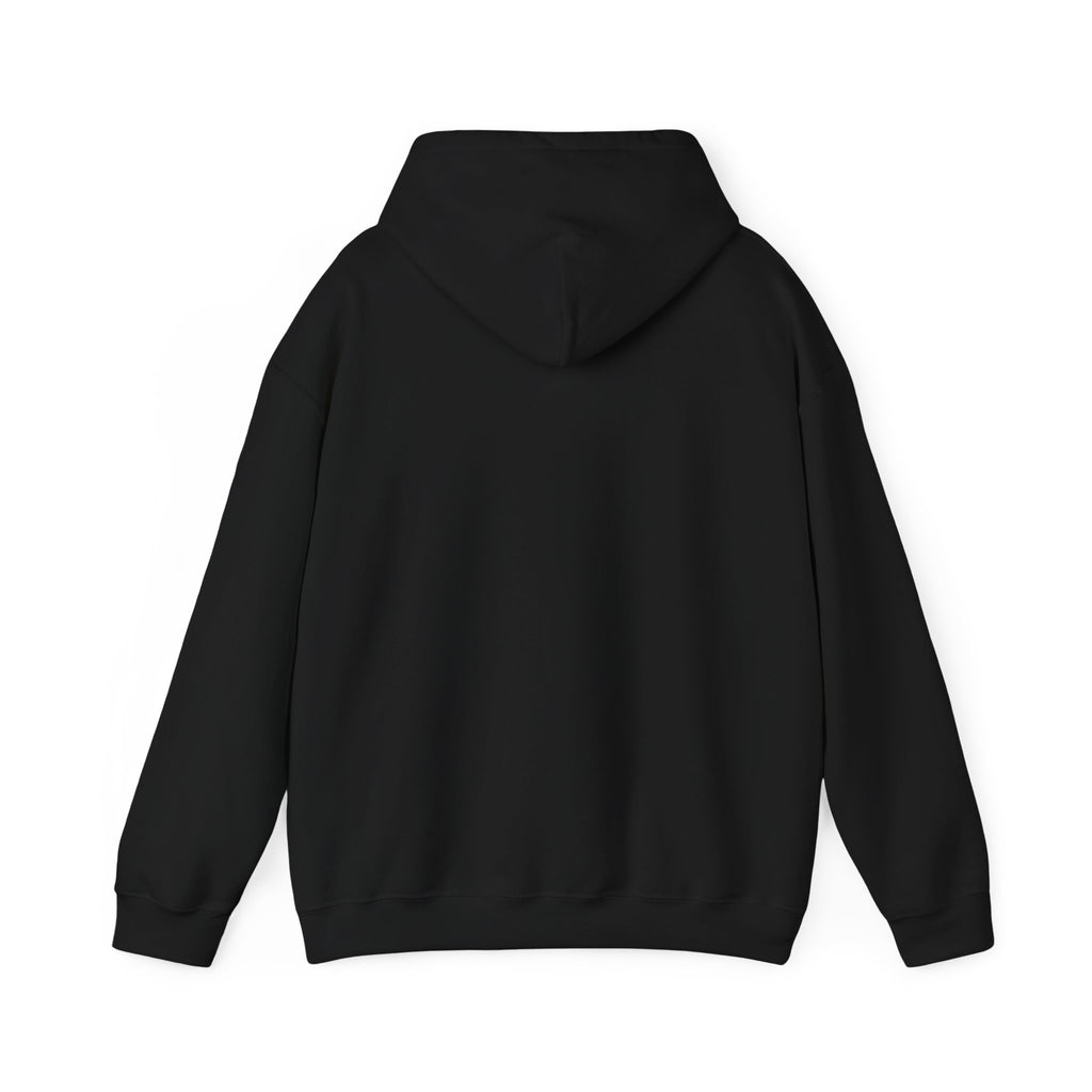 Warning I Get Airsick - Hoodie drôle de voyage